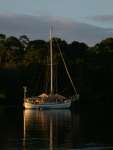 Boat in Gringo Bay