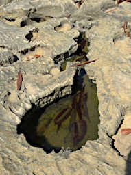 Manambolo R Tsingy