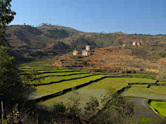 Ranomafana Betsileo Houses Rice Paddies