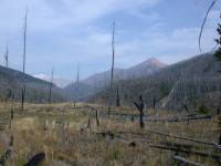 Mt. Evans and the Continental Divide from Cabin Creek