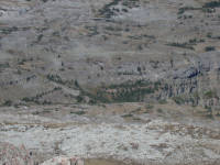 Green Fork Headwall Trail