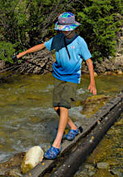 Jack Crossing Creek on Logs