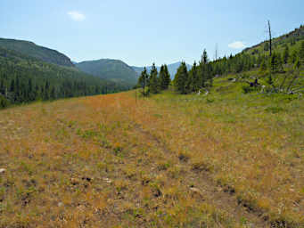 Fork in the Trail