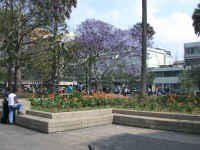 Guatemala City, Park