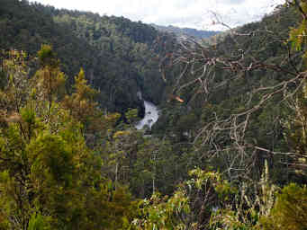 Dam Tailwaters