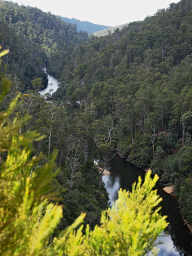 Dam Tailwaters