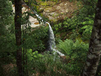 Liffey Falls