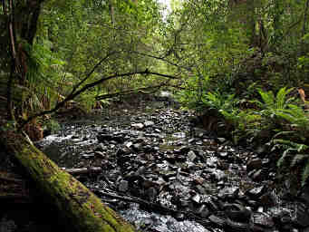 Creek