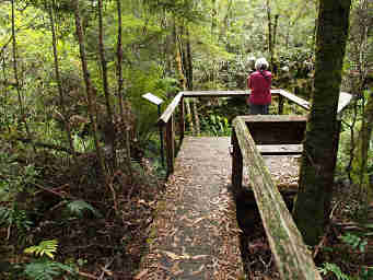 Looking for Platypus