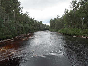 Huon River