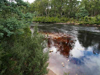 Huon River
