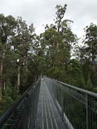 Air Walk
