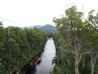 Huon and Pictor River Confluence