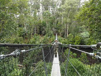 Suspension Bridge