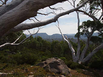 View to the Northeast