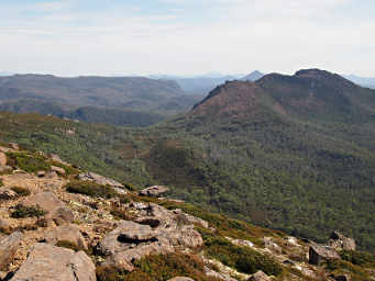 Trail Down
