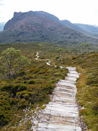 Boardwalk on Steep Descent