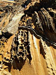 Honeycombed Painted Cliffs