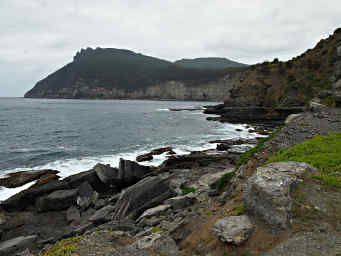 Fossil Cliffs