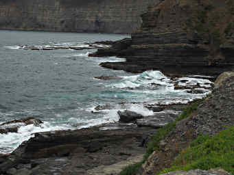 Fossil Cliffs