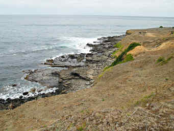 Fossil Cliffs Bench