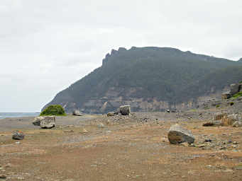 Fossil Cliffs Bench