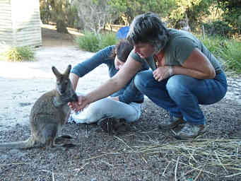 Clair and Deirdre with Wallaby