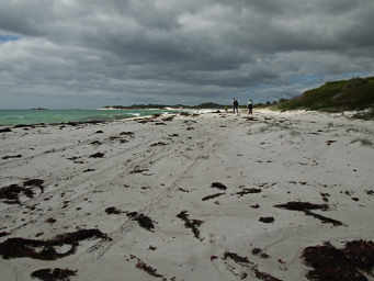Kepl-Strewn Beach