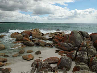 Deirdre on Rocky Point