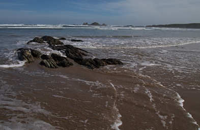 Ocean