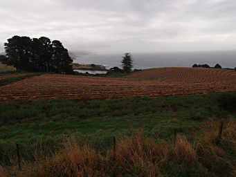 North Coast