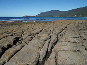 Tessellated Rocks