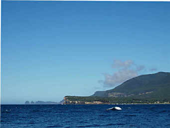 Coats Cliffs