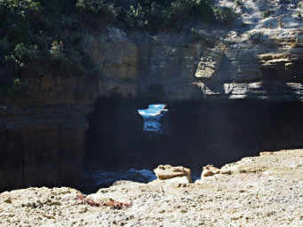 Blowhole