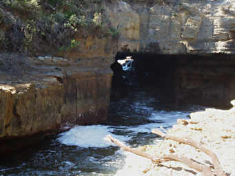 Blowhole