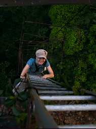 Danum Dawn Platform Climb