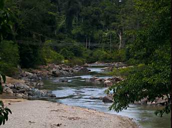 Danum Segama R