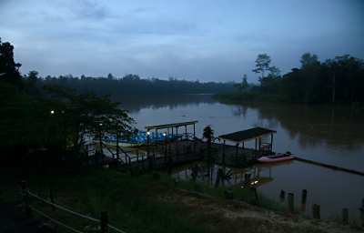 Kinabatangan Morning Mist