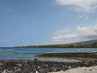 Bay