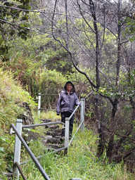 Dona hiking down into Kilauea Iki