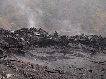Steam Vent