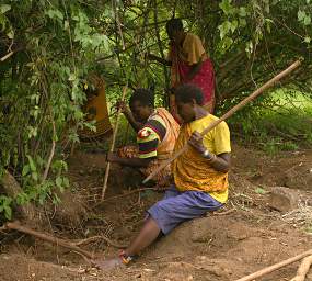 Digging Roots
