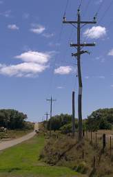 Otago RT Crooked Telephone Pole
