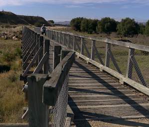 Otago RT Bridge