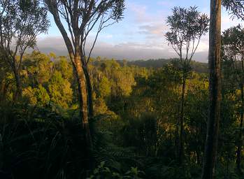 WCst Beaconstone Ecolodge Cabin View