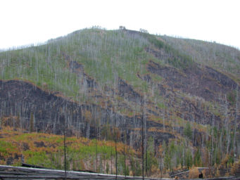 Burn along North Fork