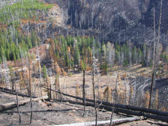 Looking down on camp