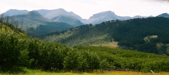Looking west from Smith Creek trailhead