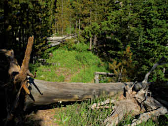 Log Show Stopper